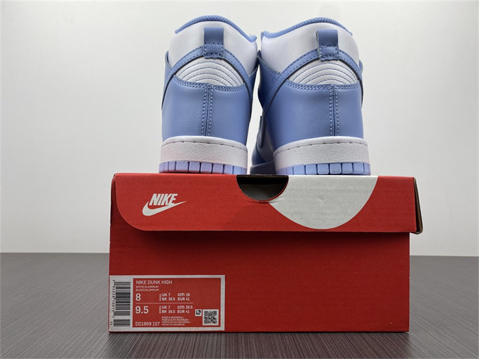 NK Dunk High Aluminum DD1869-107