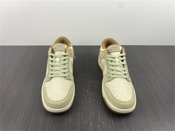 NK Dunk Low On the Bright Side DQ5076-121