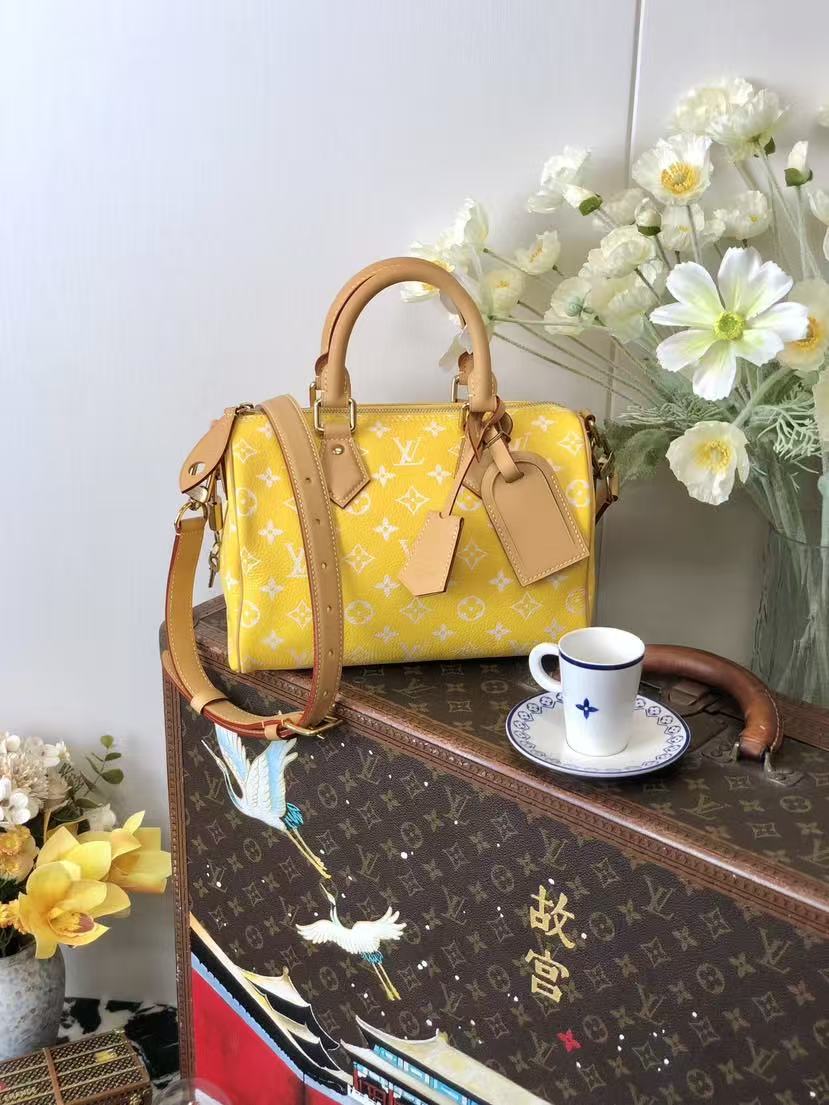 LV M24426  Speedy p9   2025 25*15*15CM
