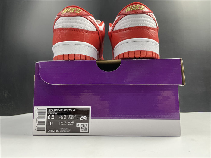 NK SB Dunk DH3228-161