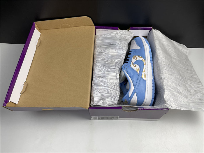 NK SB Dunk DH3228-141