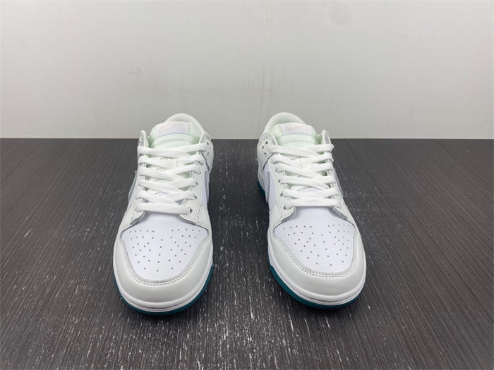 NK DUNK LOW 2023 FD9911-101