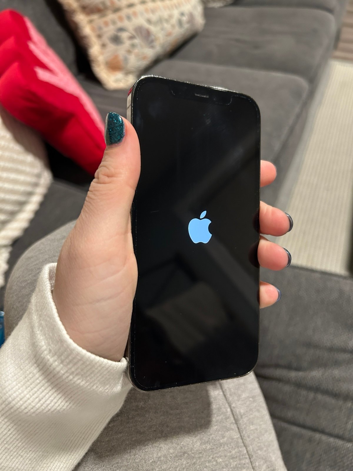 iPhone 12 Pro 9N55