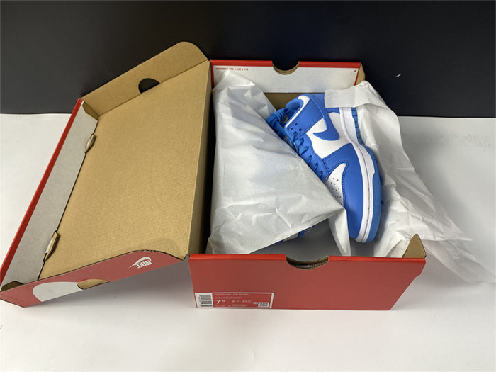 NK Dunk Low UNC DD1391-102
