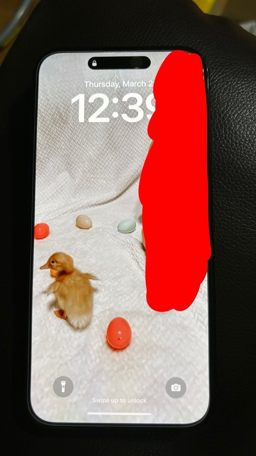 iPhone 15 Plus 6B63