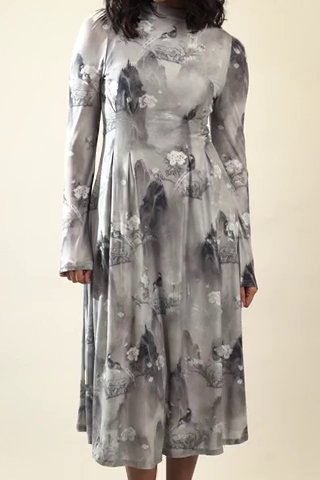 Mesh Grey Long Dress
