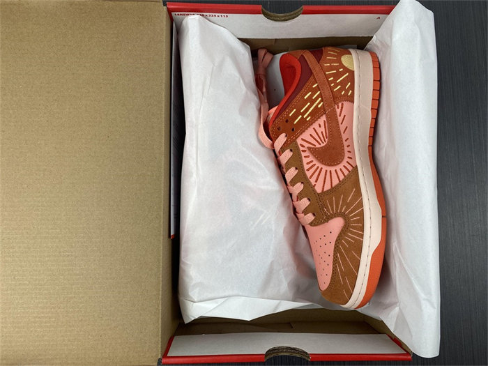 NK Dunk Low NH Winter Solstice DO6723-800