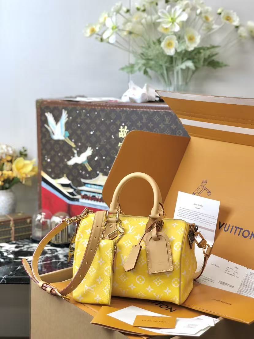 LV M24426  Speedy p9   2025 25*15*15CM