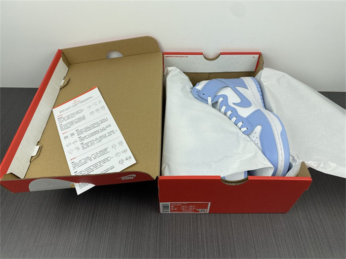 NK Dunk High Aluminum DD1869-107