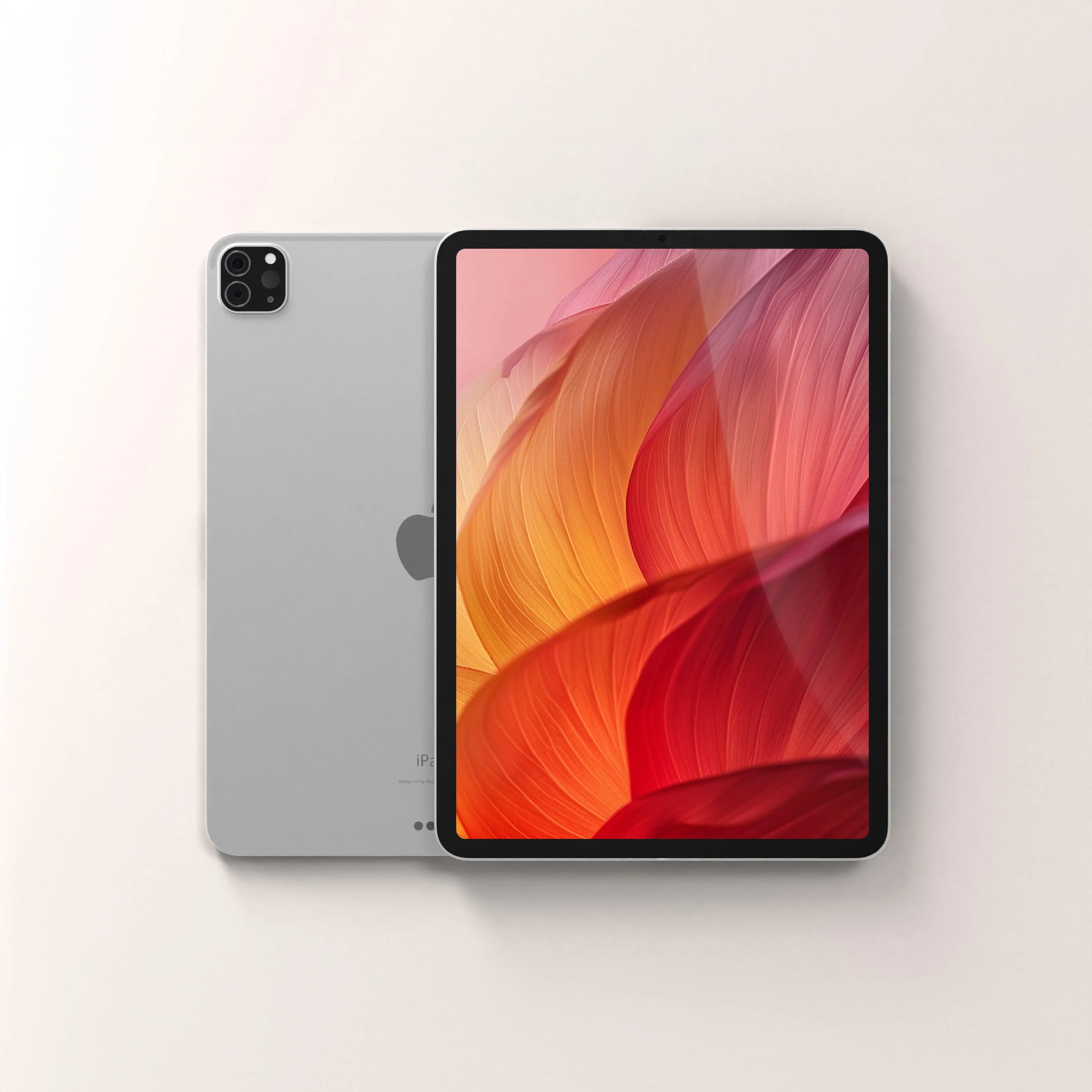 iPad Pro 11-inch (2nd generation) 128GB WiFi + 4G LTE (Unlocked)