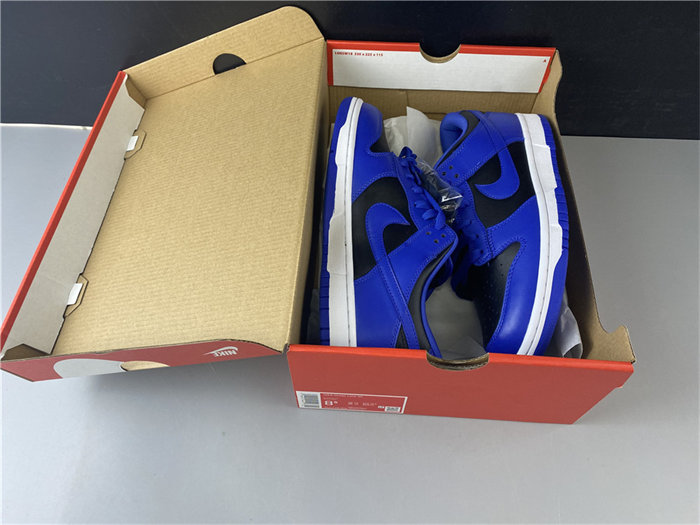 NK SB Dunk Low CU1726-006