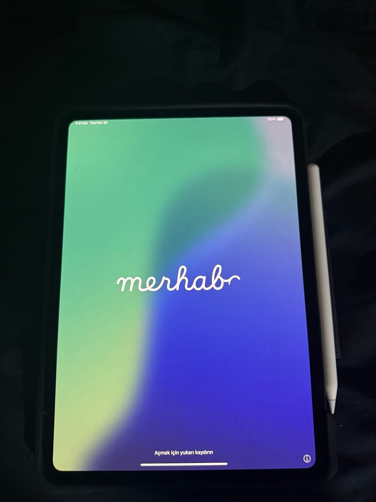 Apple iPad Pro 3J28