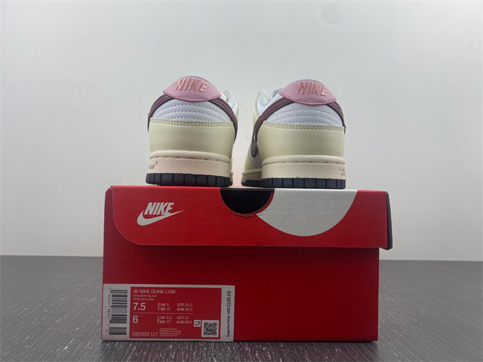 NK Dunk Low DD1503-117