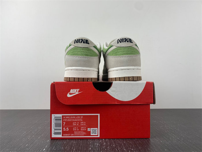 NK Dunk Low SE 85 Double Swoosh DO9457-100X