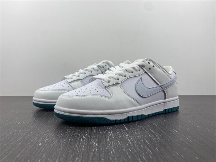 NK DUNK LOW 2023 FD9911-101