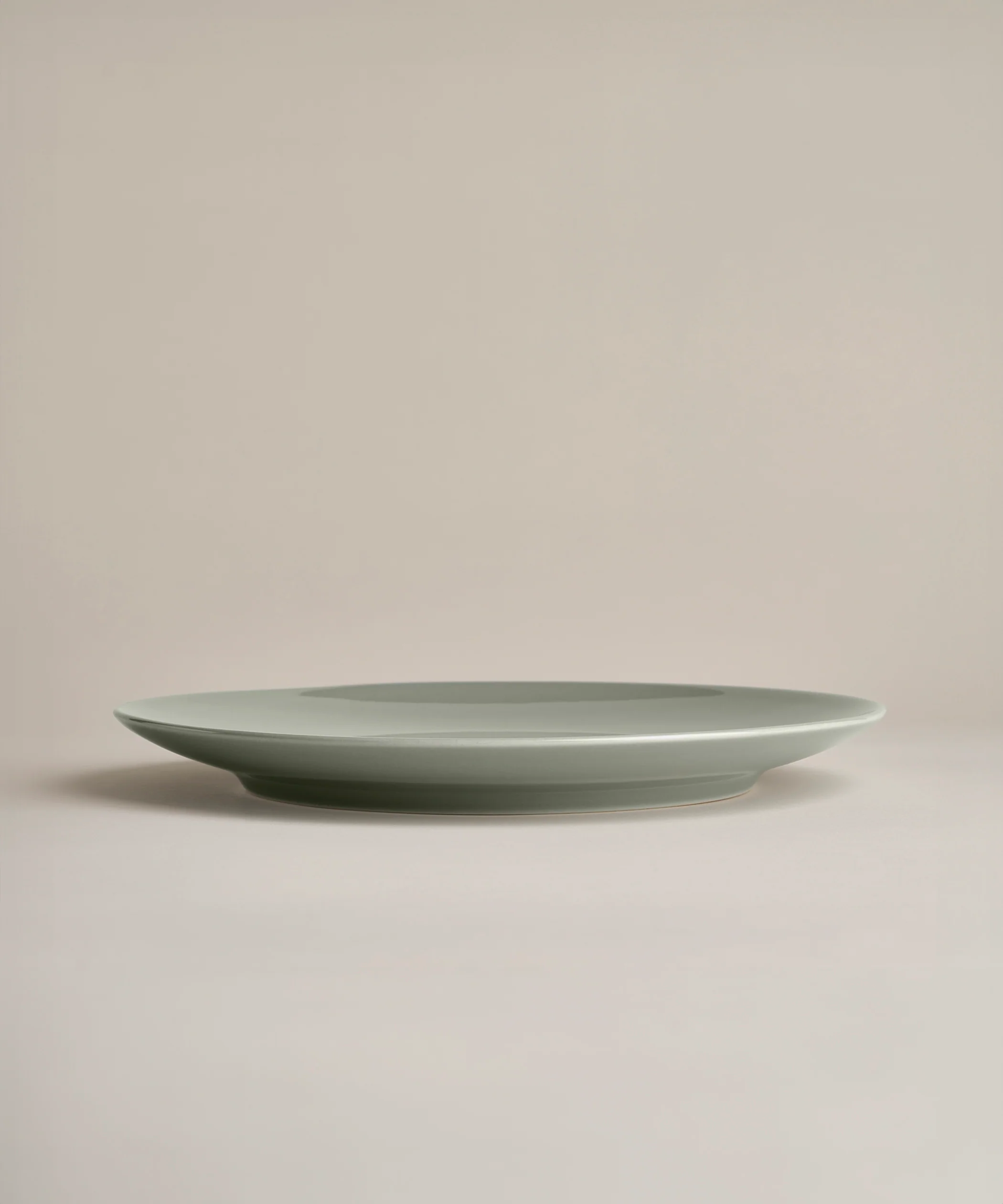 Glossy Big Plates