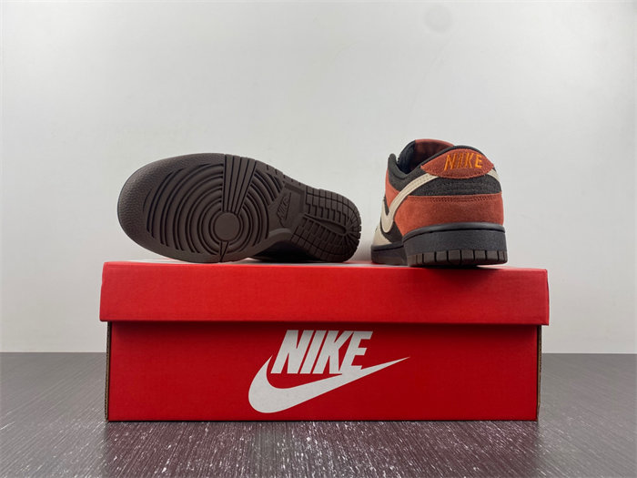 NK Dunk Low Red Panda FV0395-200