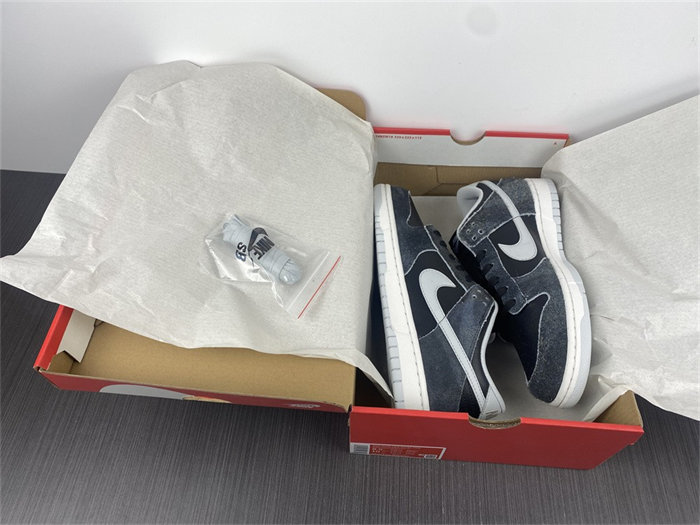 NK Dunk Low Retro Animal Pack Zebra DH7913-001