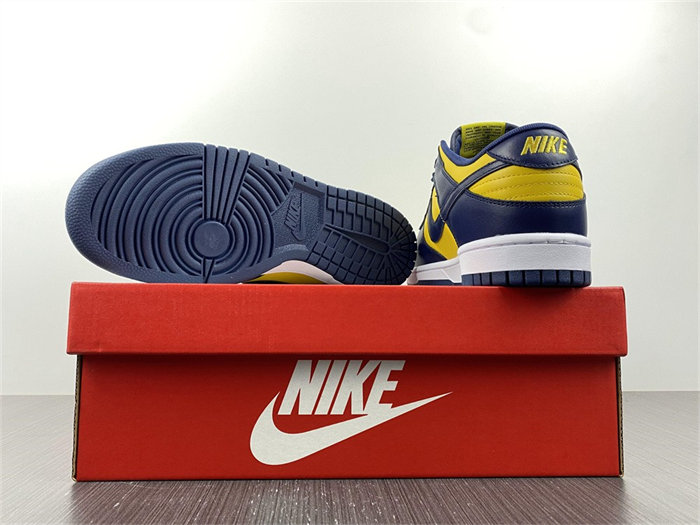 NK Dunk Low Michigan DD1391-700