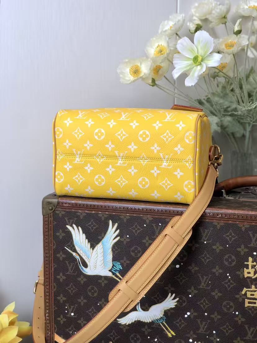 LV M24426  Speedy p9   2025 25*15*15CM