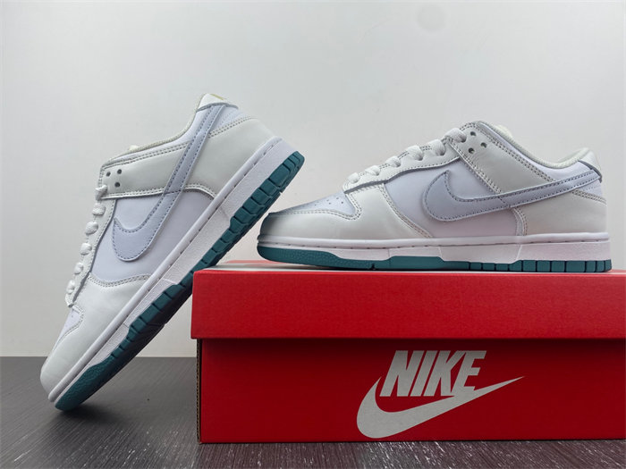 NK DUNK LOW 2023 FD9911-101