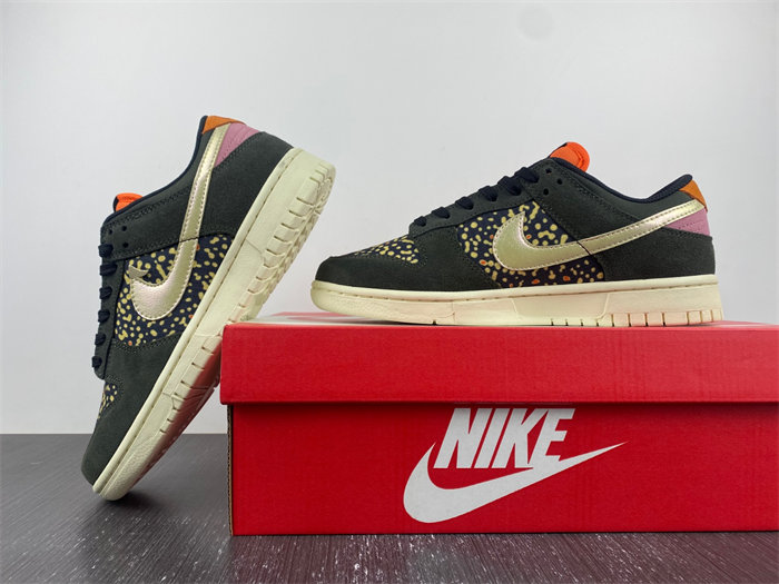 NK Dunk Low Rainbow Trout FH7523 300