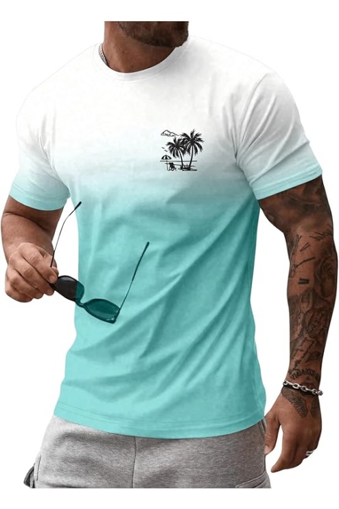 Men's Short Sleeve Graphic Tees