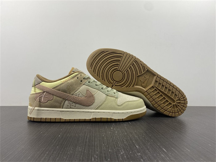 NK Dunk Low On the Bright Side DQ5076-121