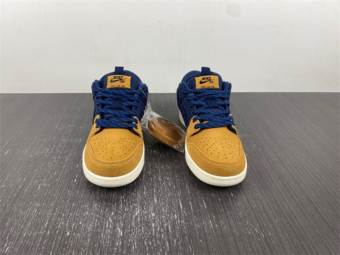 NK SB Dunk Low Pro PRM 90s Backpack DX6775-400