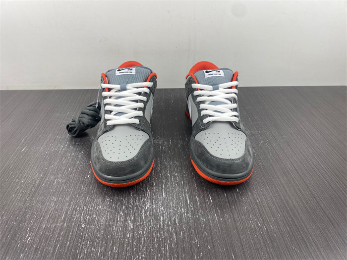 NK SB Dunk Low 304292-011