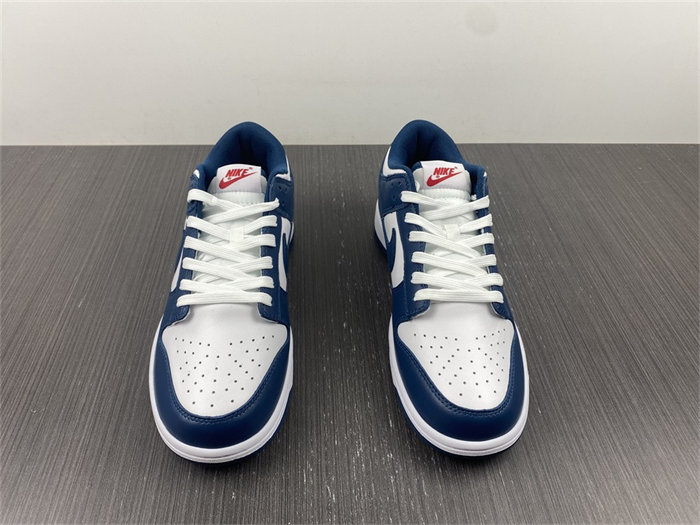 NK Dunk Low Valerian Blue DD1391-400