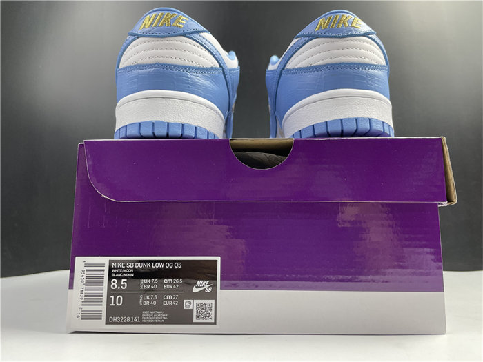 NK SB Dunk DH3228-141