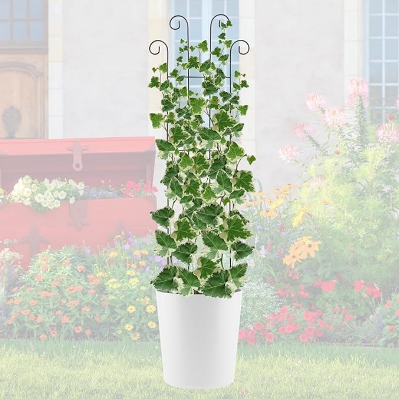 GREENFOLD 4 Pack 32'' Wave Shape Black Metal Trellis