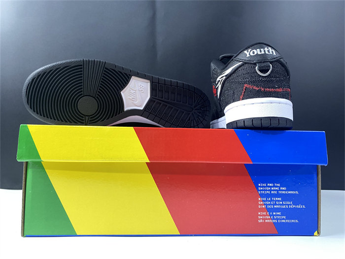 NK SB Dunk Low Wasted Youth DD8386-001