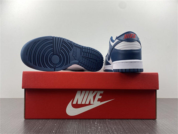 NK Dunk Low Valerian Blue DD1391-400