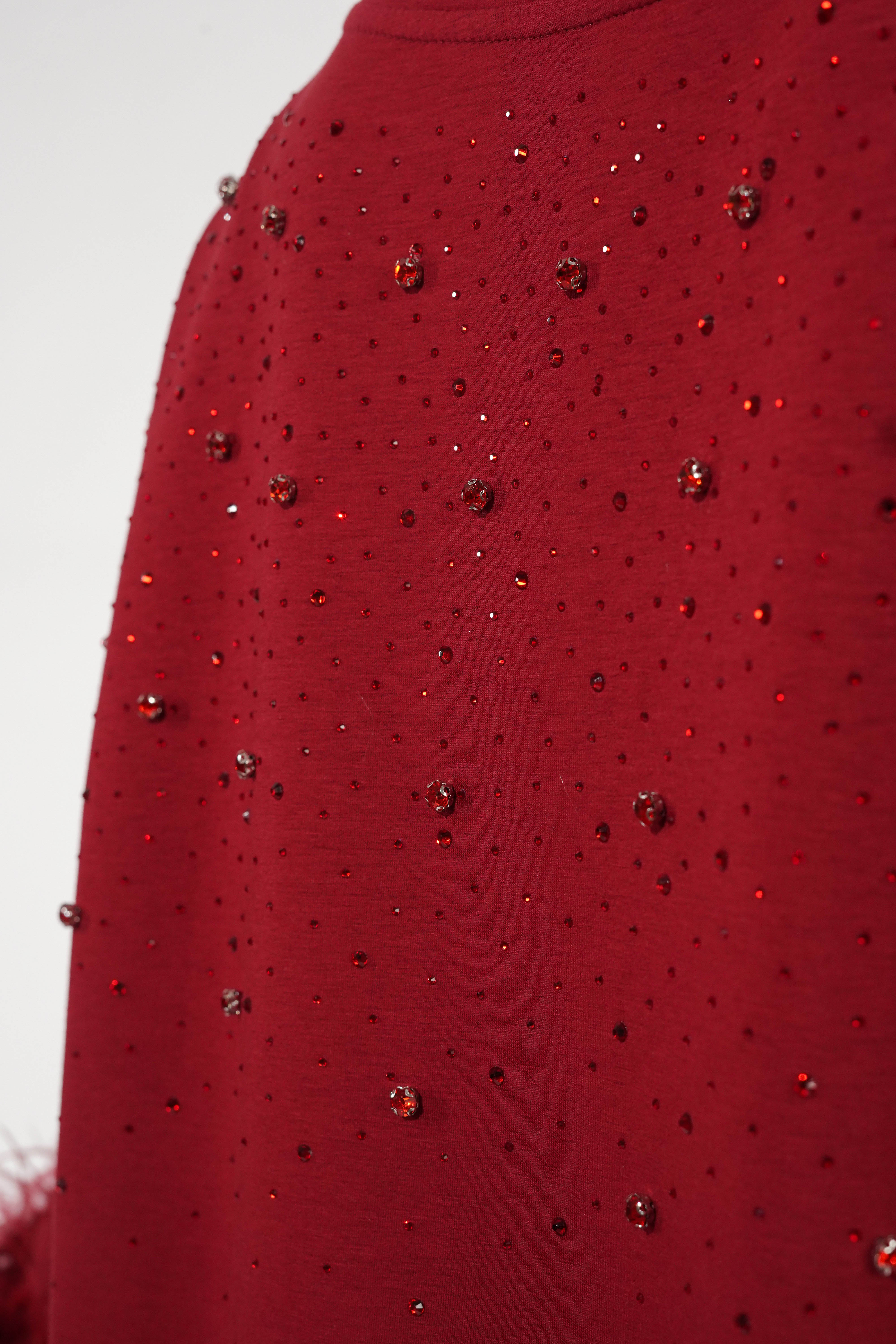 Amy Dark Red Feather Detail T-shirt