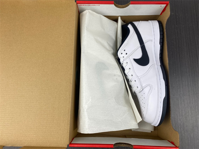 NK Dunk Low White Black DD1503-113