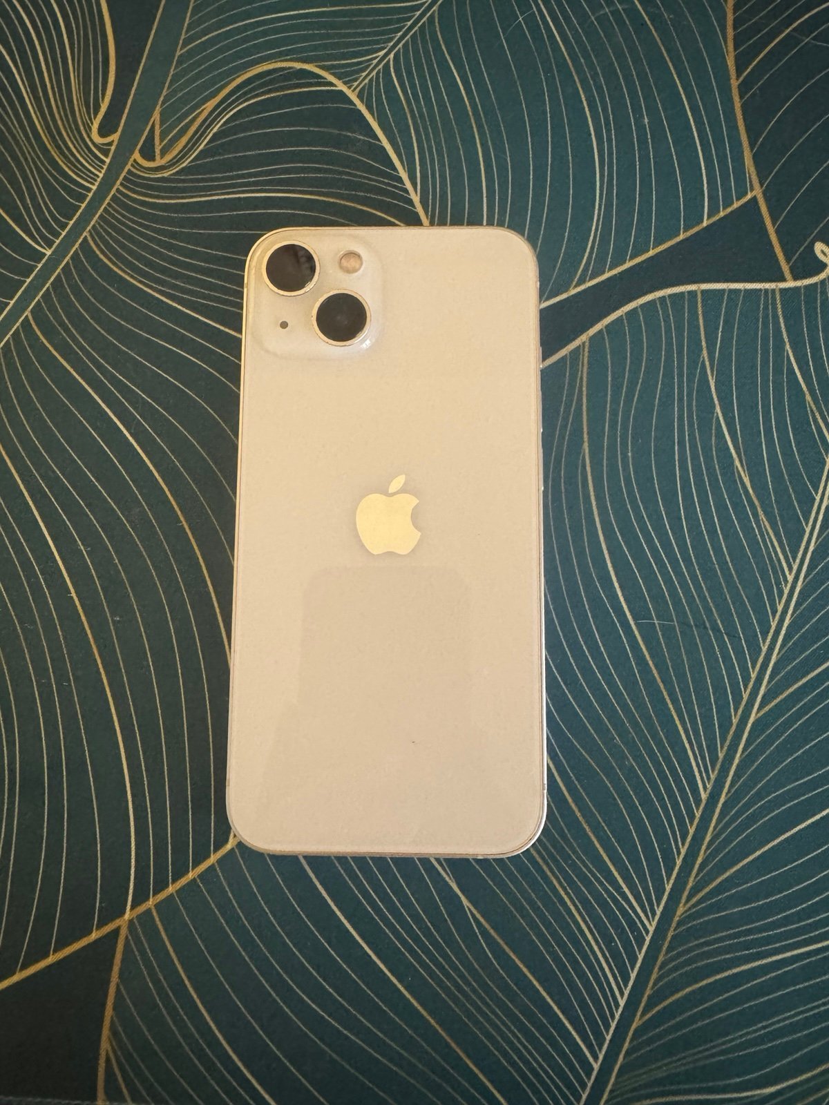 iPhone 13 9W73