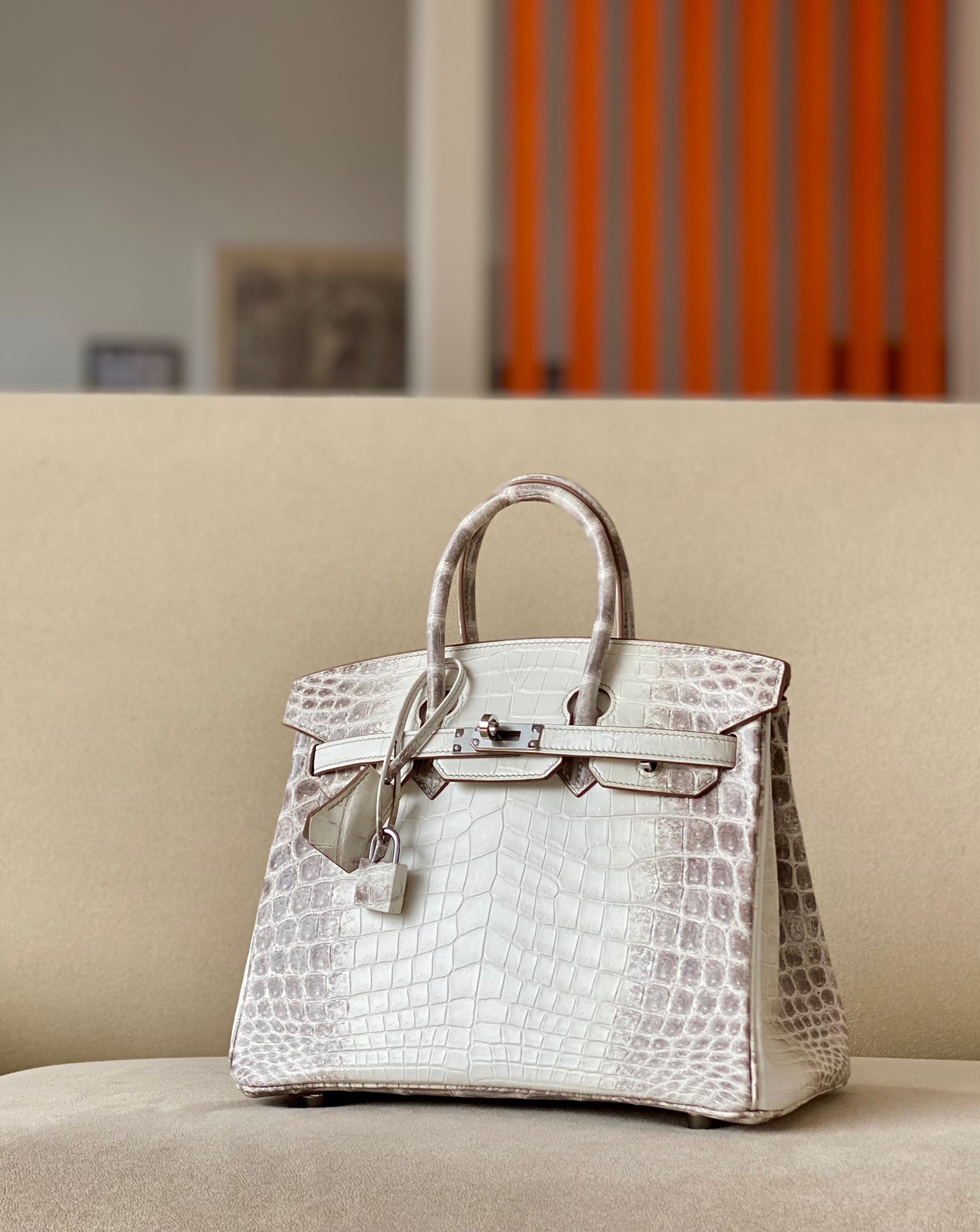 Birkin Himalayan  25-30 crocodile skin