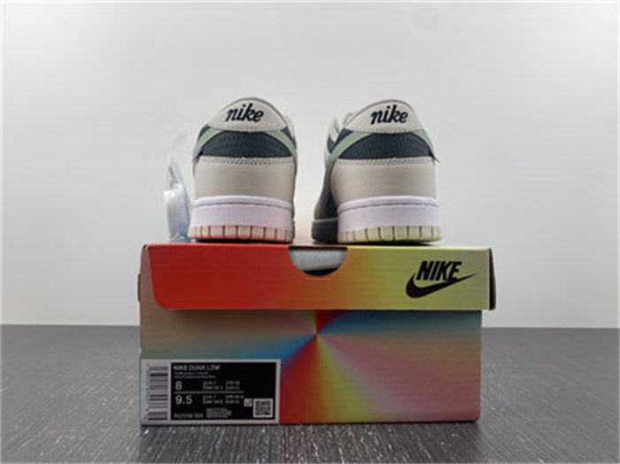 NK Dunk Low RU2236-565