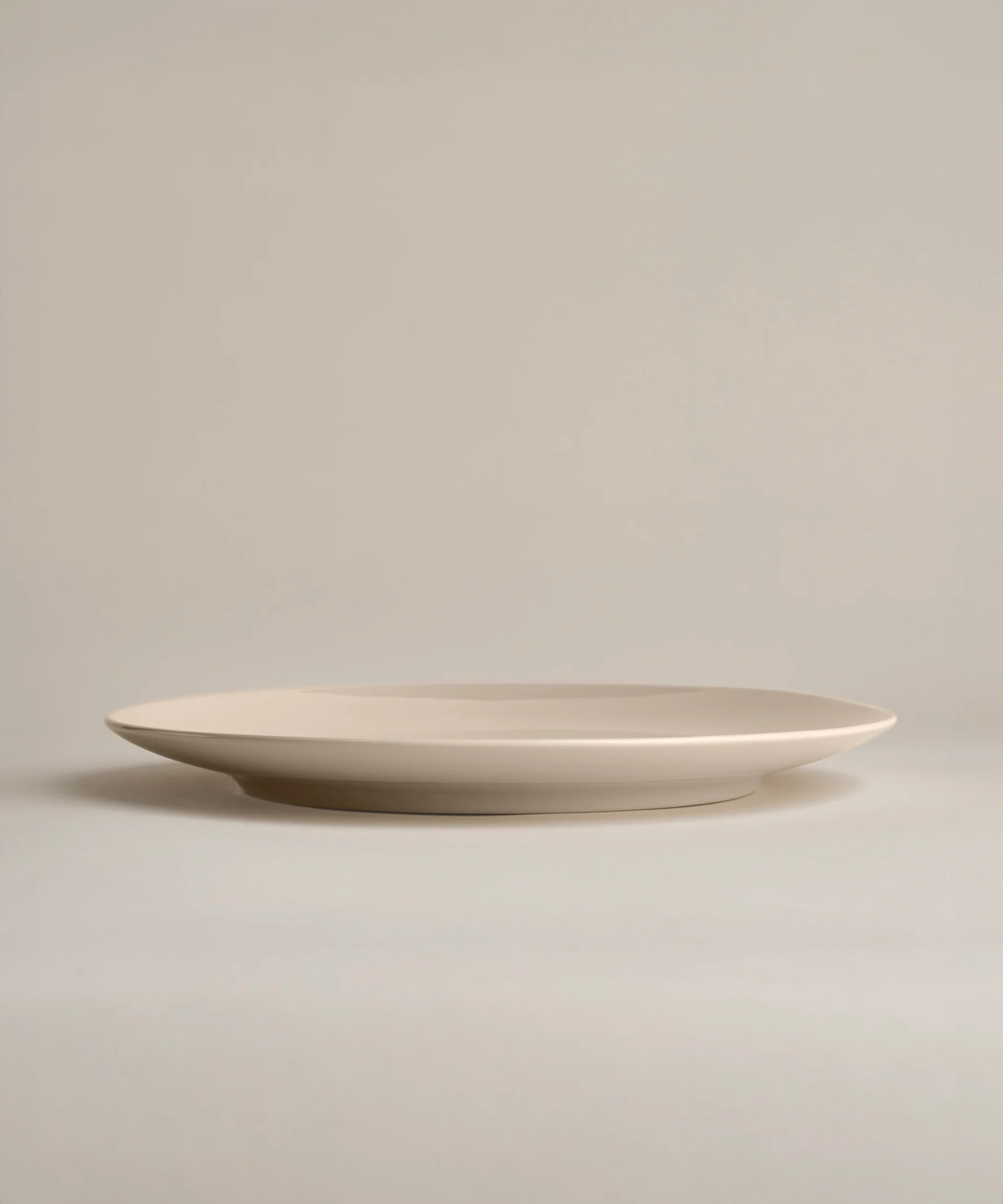 Glossy Big Plates