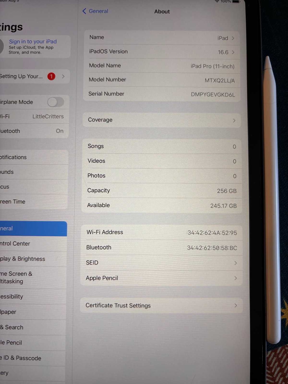 Apple iPad  Pro 11” Wi-Fi  1st Gen 256GB 9W53
