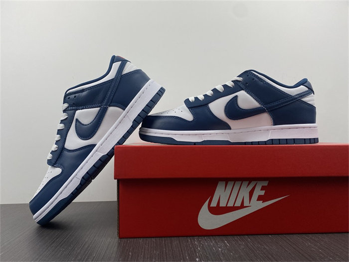 NK Dunk Low Valerian Blue DD1391-400