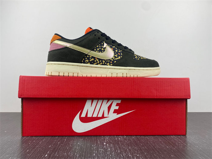 NK Dunk Low Rainbow Trout FH7523 300