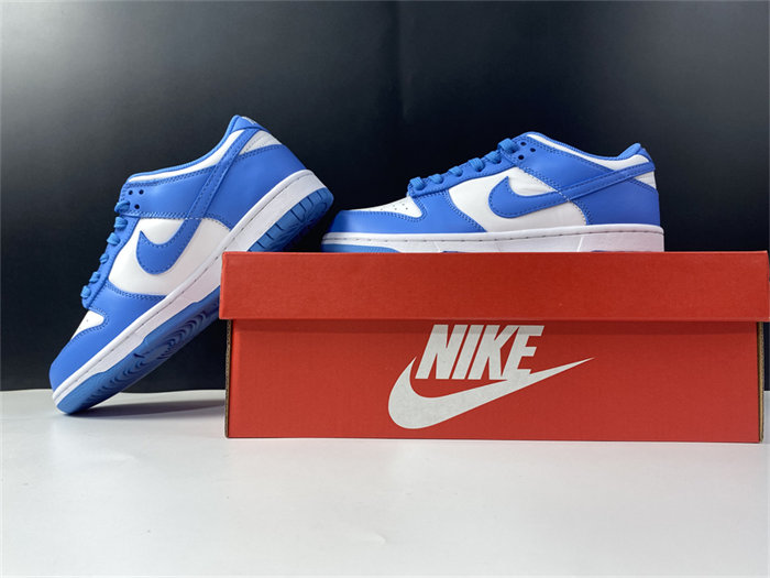 NK Dunk Low UNC DD1391-102