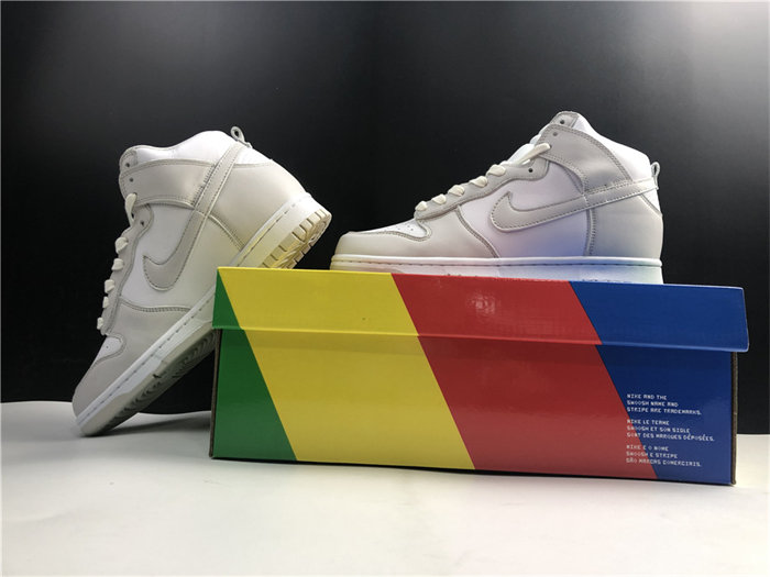NK Dunk High Retro White Vast Grey DD1399-100
