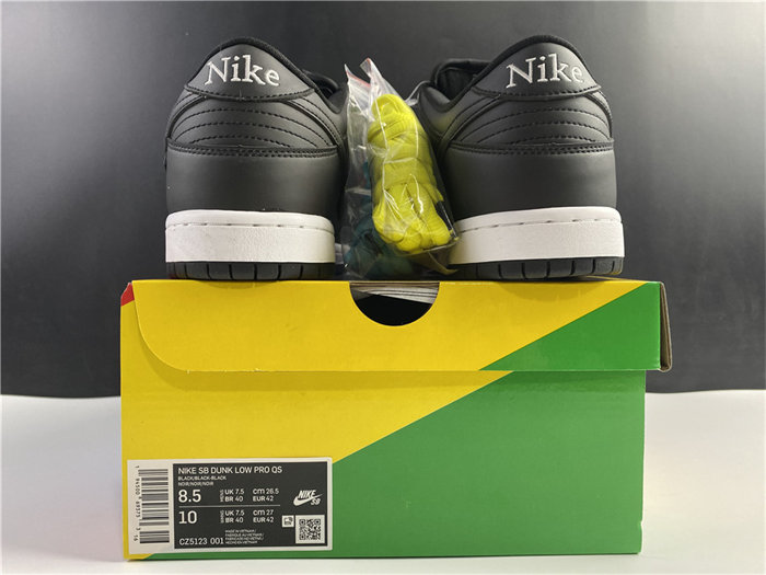 NK SB Dunk Low Civilist CZ5123-001