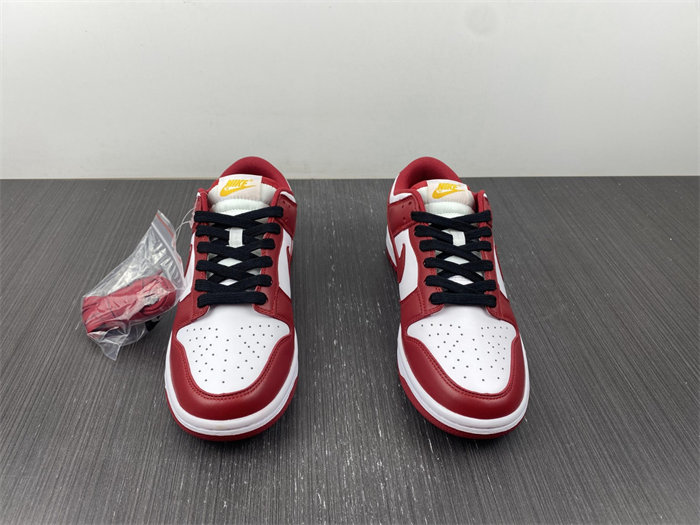 NK Dunk Low USC DD1391-602