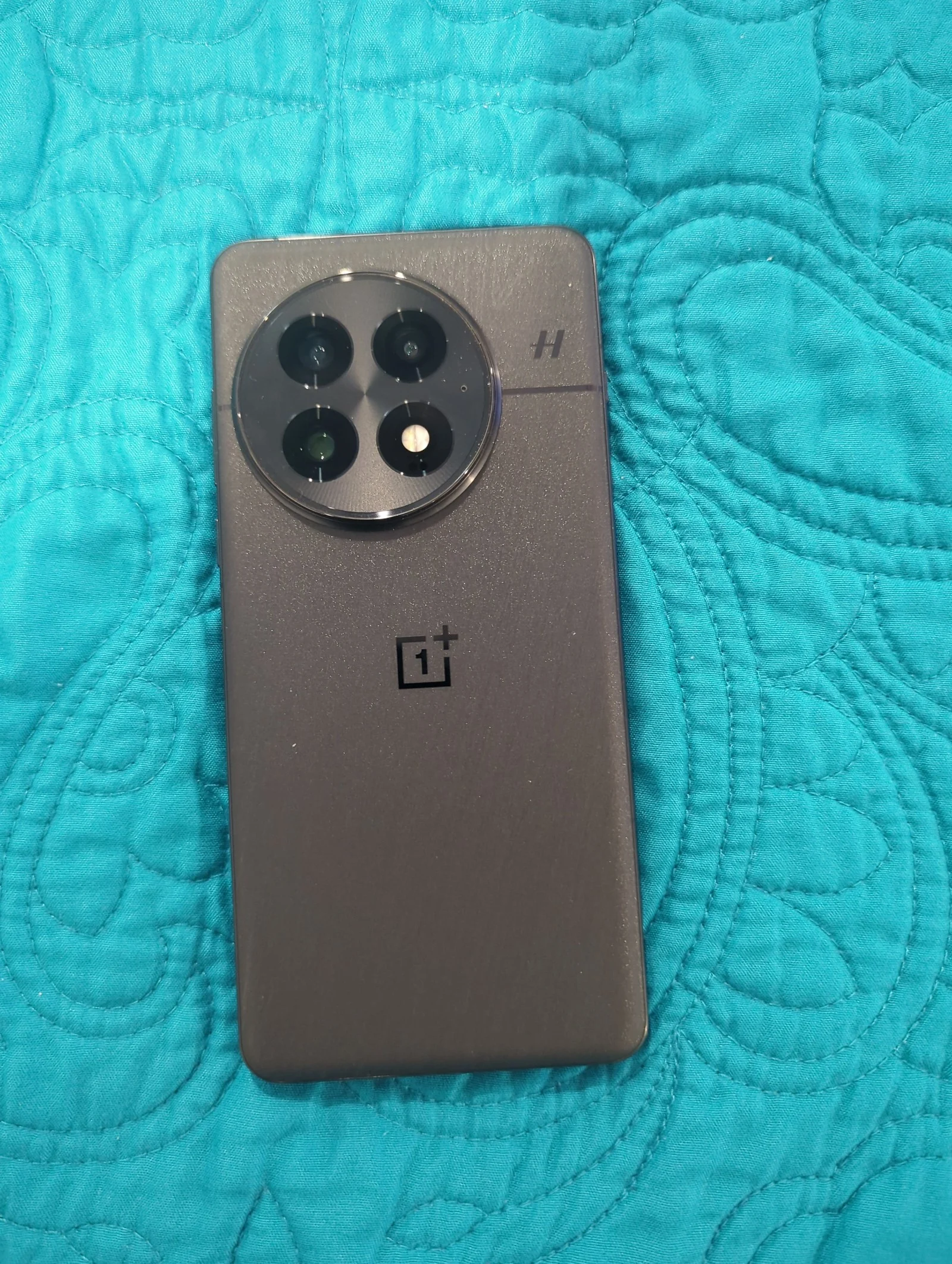 OnePlus 13