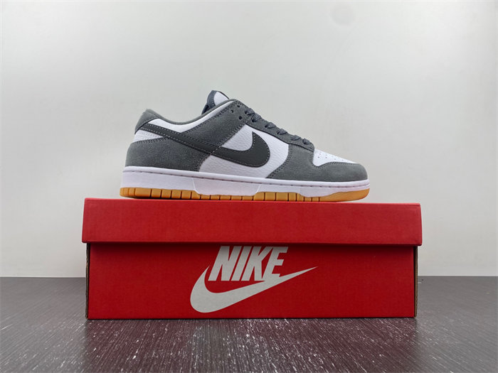 NK Dunk Low FV0389-100